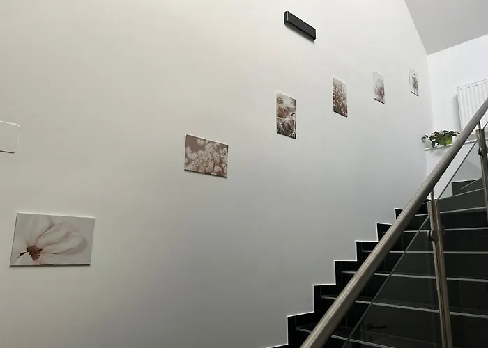 Paky 00323 Apartament *